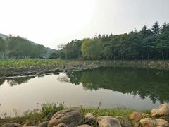 -长广溪湿地公园