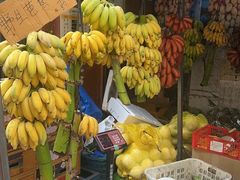 -鸿港海鲜批发市场