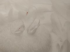 -BLACKSWAN黑天鹅(环球店)