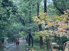 -敬亭山风景名胜区