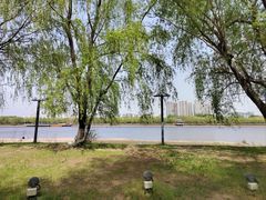 -长白岛森林公园