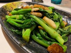 -荟廷·晶萃(陆家嘴尚悦湾店)