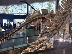 -湖南省地质博物馆