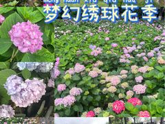 -常州古运河南大街文化旅游区-人民公园
