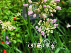 -国家植物园