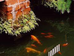 -三苏祠