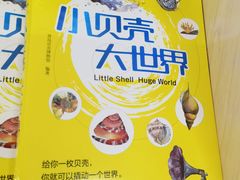 -青岛贝壳博物馆