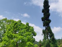 -井冈山风景名胜区