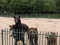 -秦皇岛野生动物园