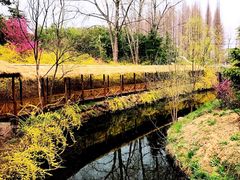 -日照海滨国家森林公园