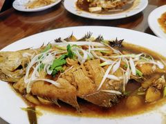 焖大偏口鱼-林之六八·6886大连老菜馆
