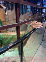 -酷嗒动物文化乐园(cutezoo西溪乐天城店)