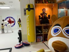 -极真空手道疾风道场(虹口凉城店)