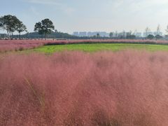 -汉长安城未央宫国家考古遗址公园