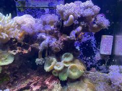 -大梅沙游艇度假酒店