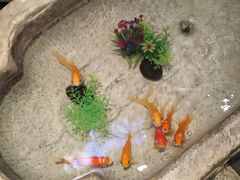 -106餐厅(山水文园店)