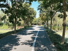-广富林郊野公园