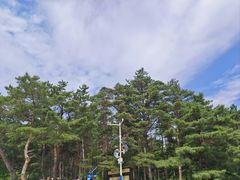 -帽儿山国家森林公园