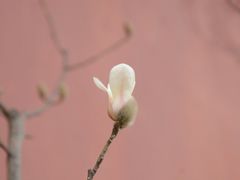 -东华门大街小区