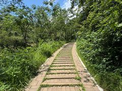 -青龙山国家森林公园