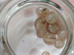 粉芭乐椰冻布丁-烹然四季椰子鸡火锅(团结湖总店)