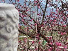 -径山寺