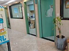 -半岛宠物医院24小时·内窥镜·牙科·碎石中心(府城大道店)