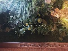 -涩谷区