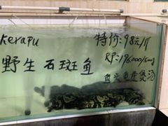 -海盗餐厅