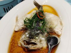 鲈鱼-青螺餐厅·家宴(松雅湖店)