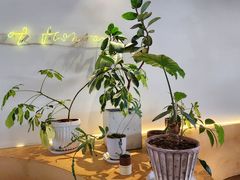 -fishtank鱼缸咖啡(三山街店)