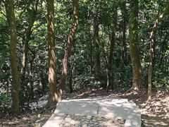 -梧桐山风景名胜区