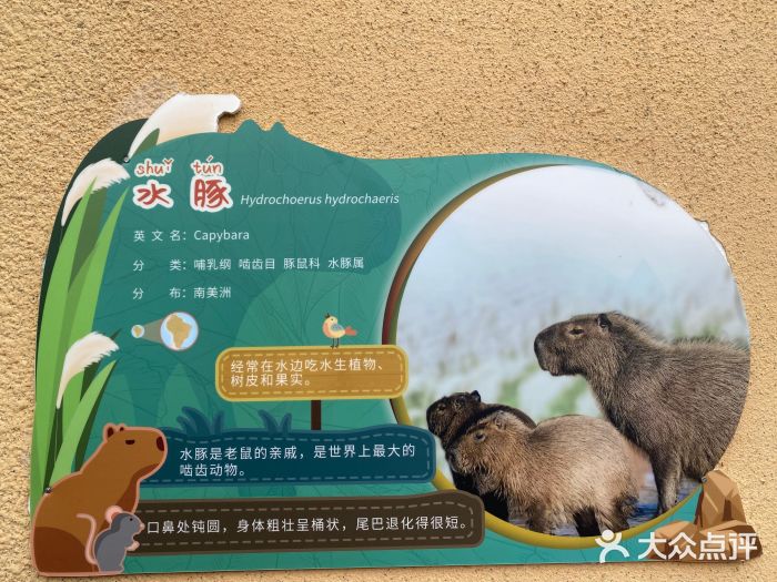 成都动物园图片