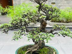 -聚福宝合苑食府(南头镇店)