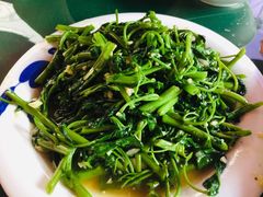 -龙潭水乡