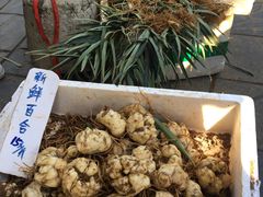 -长兴慧子土特产茶行