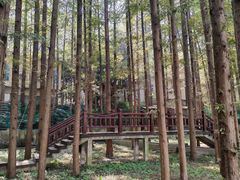 -南京金牛湖风景区