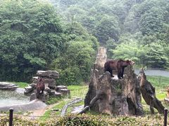 -杭州野生动物世界