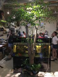 -周忆刺青原创设计定制