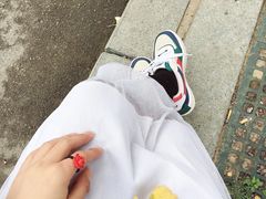 -三里屯东五街银杏大道