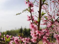 -秦岭风景区