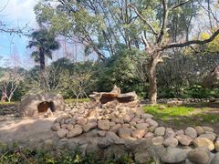 -上海野生动物园