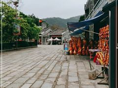 -悦城龙母祖庙