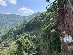 -清迈丛林飞跃 JungleFlight