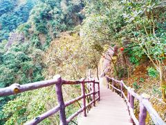 -宁波五龙潭景区