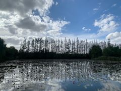 -上海长兴岛郊野公园