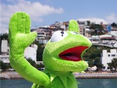 -G-Super 绿地优选(徐汇绿地缤纷城店)