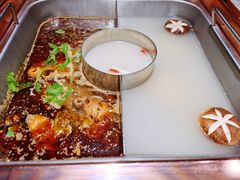 鸳鸯锅底-新辣道鱼火锅(领展购物广场·中关村店)