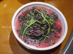 泉水苋菜-丹江渔村(望京店)