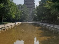 -玲珑塔公园